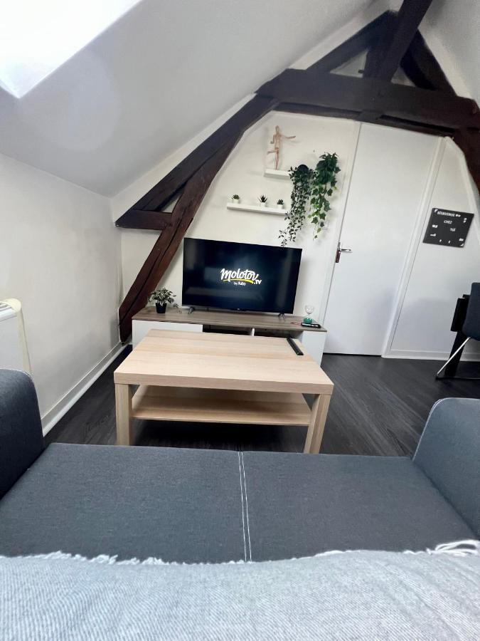 Bel Appartement Lumineux 35M2, Bord De Loire Saint-Jean-le-Blanc Exterior photo