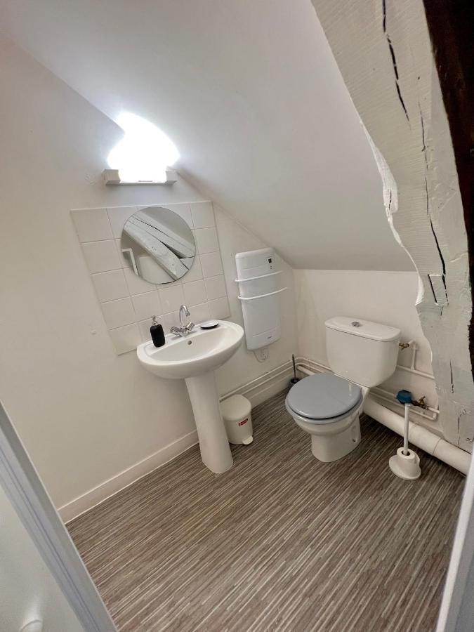 Bel Appartement Lumineux 35M2, Bord De Loire Saint-Jean-le-Blanc Exterior photo