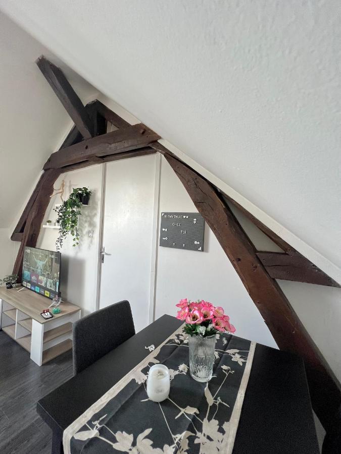 Bel Appartement Lumineux 35M2, Bord De Loire Saint-Jean-le-Blanc Exterior photo