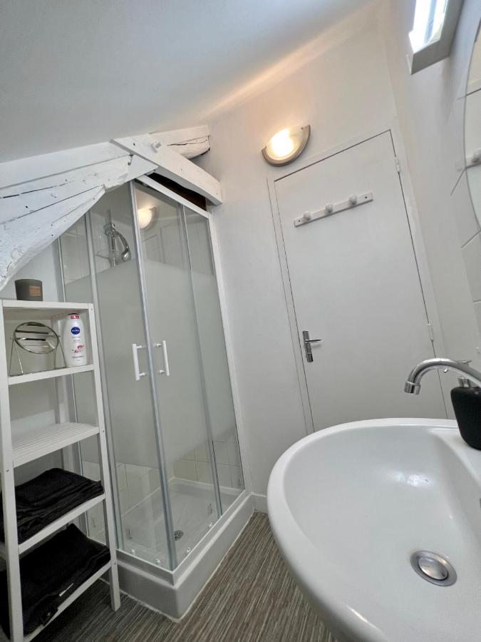 Bel Appartement Lumineux 35M2, Bord De Loire Saint-Jean-le-Blanc Exterior photo